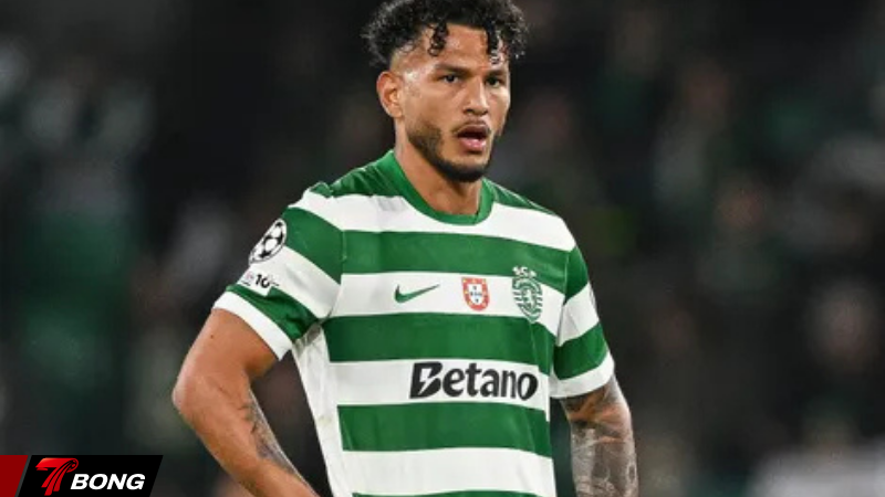 Sporting CP vẫn đang cố ổn định đội hình của mình